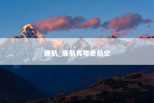 廉航_廉航有哪些航空