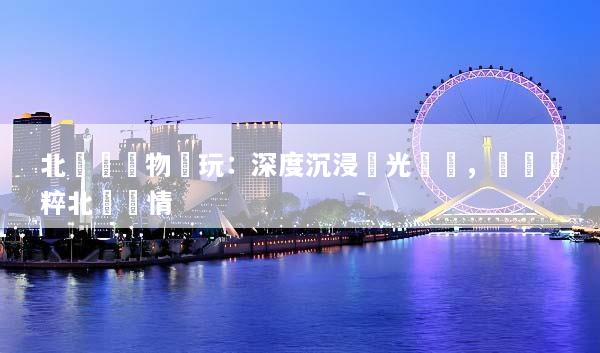 北歐無購物純玩：深度沉浸極光峽灣，體驗純粹北歐風情