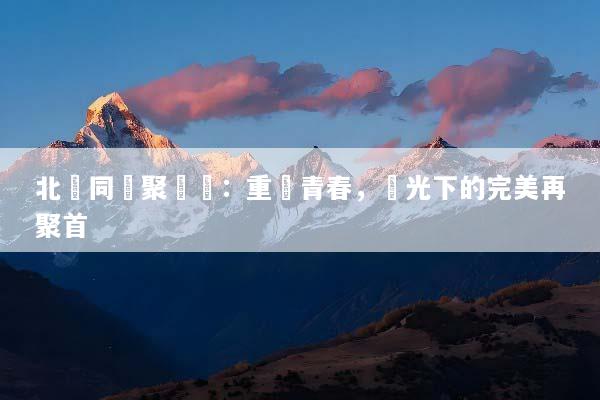 北歐同學聚會遊：重溫青春，極光下的完美再聚首