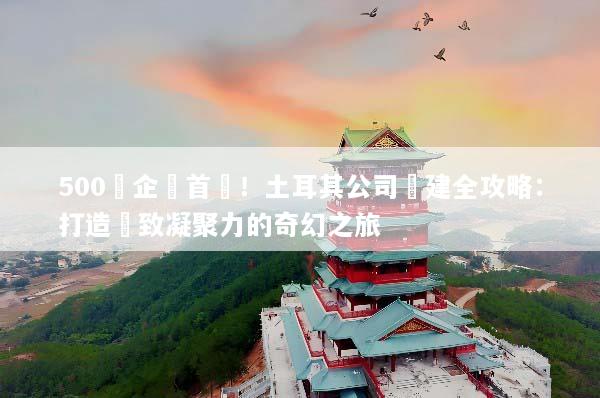 500強企業首選！土耳其公司團建全攻略：打造極致凝聚力的奇幻之旅