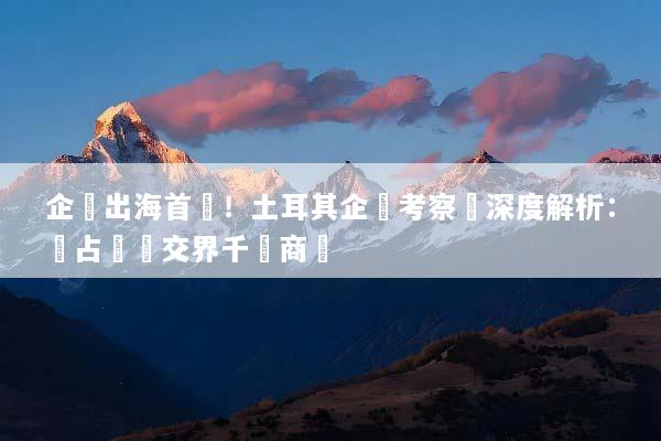 企業出海首選！土耳其企業考察遊深度解析：搶占歐亞交界千億商機