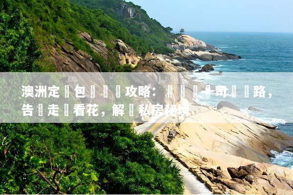 澳洲定製包車終極攻略：專屬華語司導帶路，告別走馬看花，解鎖私房秘境