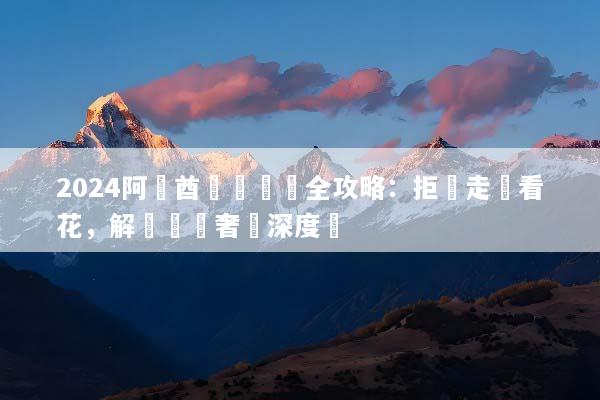 2024阿聯酋專車專導全攻略：拒絕走馬看花，解鎖頂級奢華深度遊