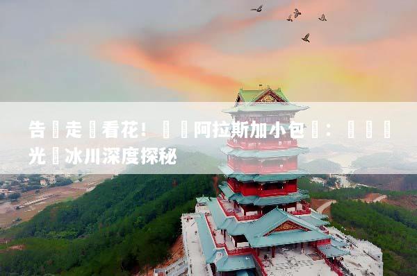 告別走馬看花！頂級阿拉斯加小包團：專屬極光與冰川深度探秘