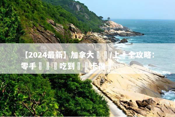 【2024最新】加拿大換匯/上網全攻略：零手續費與吃到飽網卡推薦